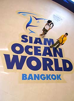 Siam-Ocean-World