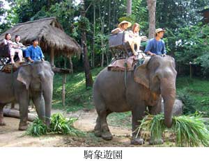 ride_elephant